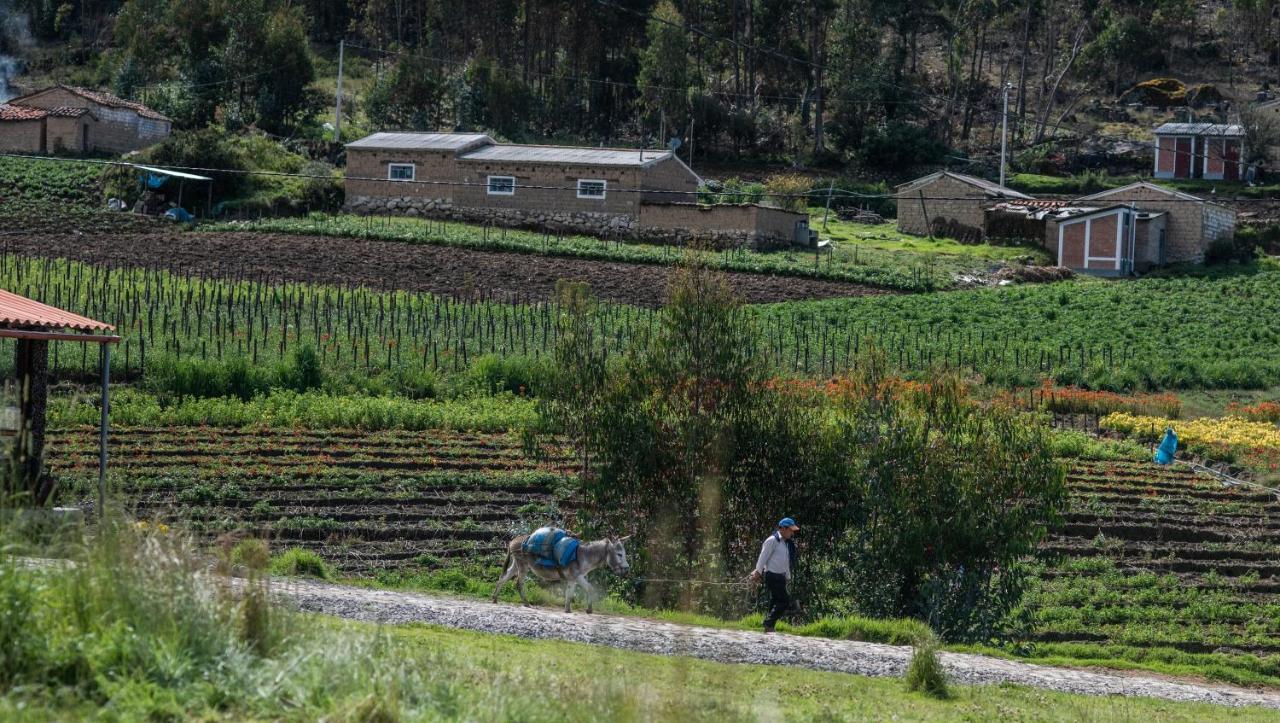 Tullpa Rumy Yungay Exteriér fotografie