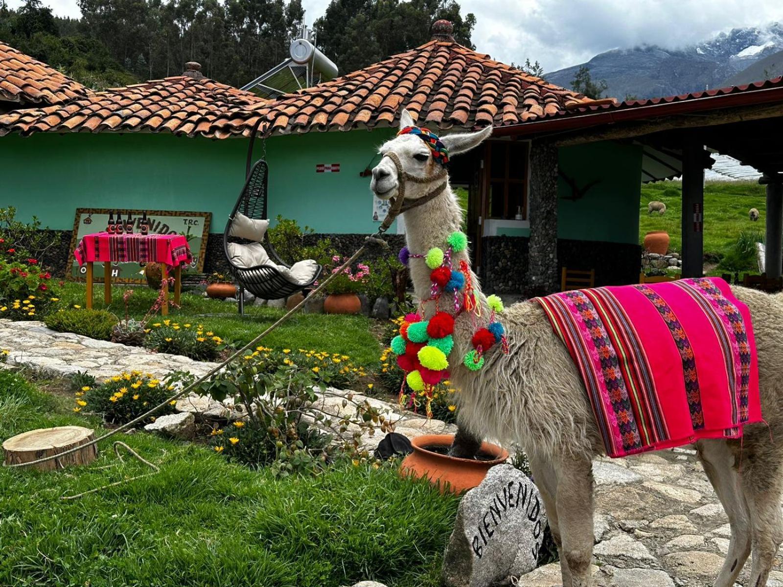 Tullpa Rumy Yungay Exteriér fotografie