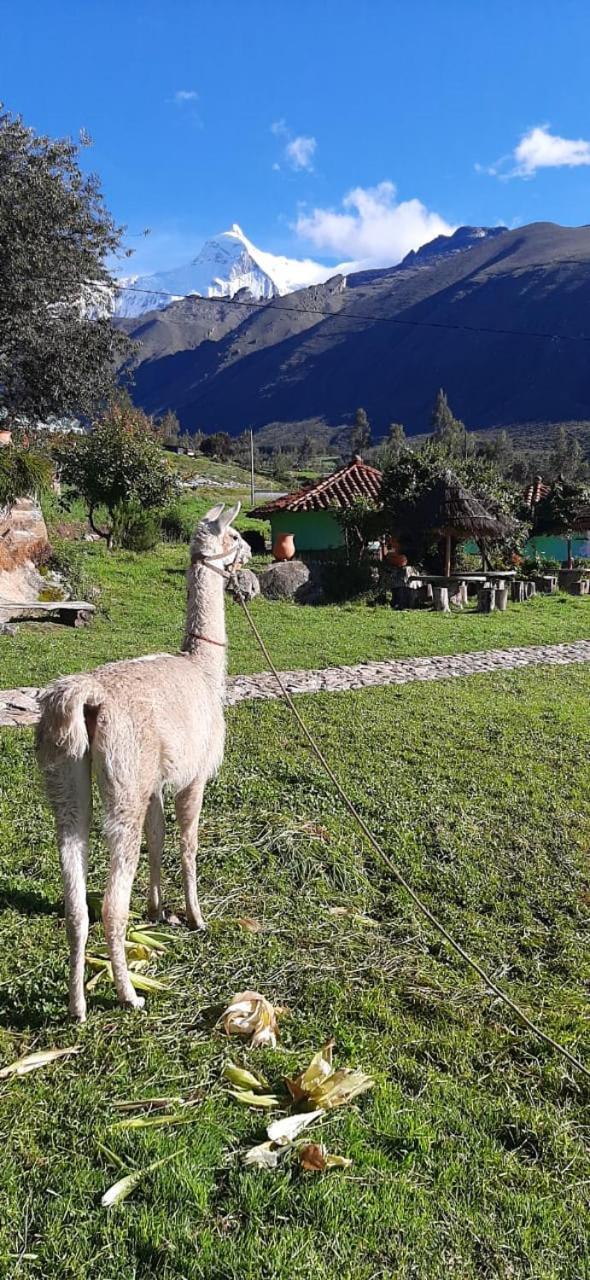 Tullpa Rumy Yungay Exteriér fotografie