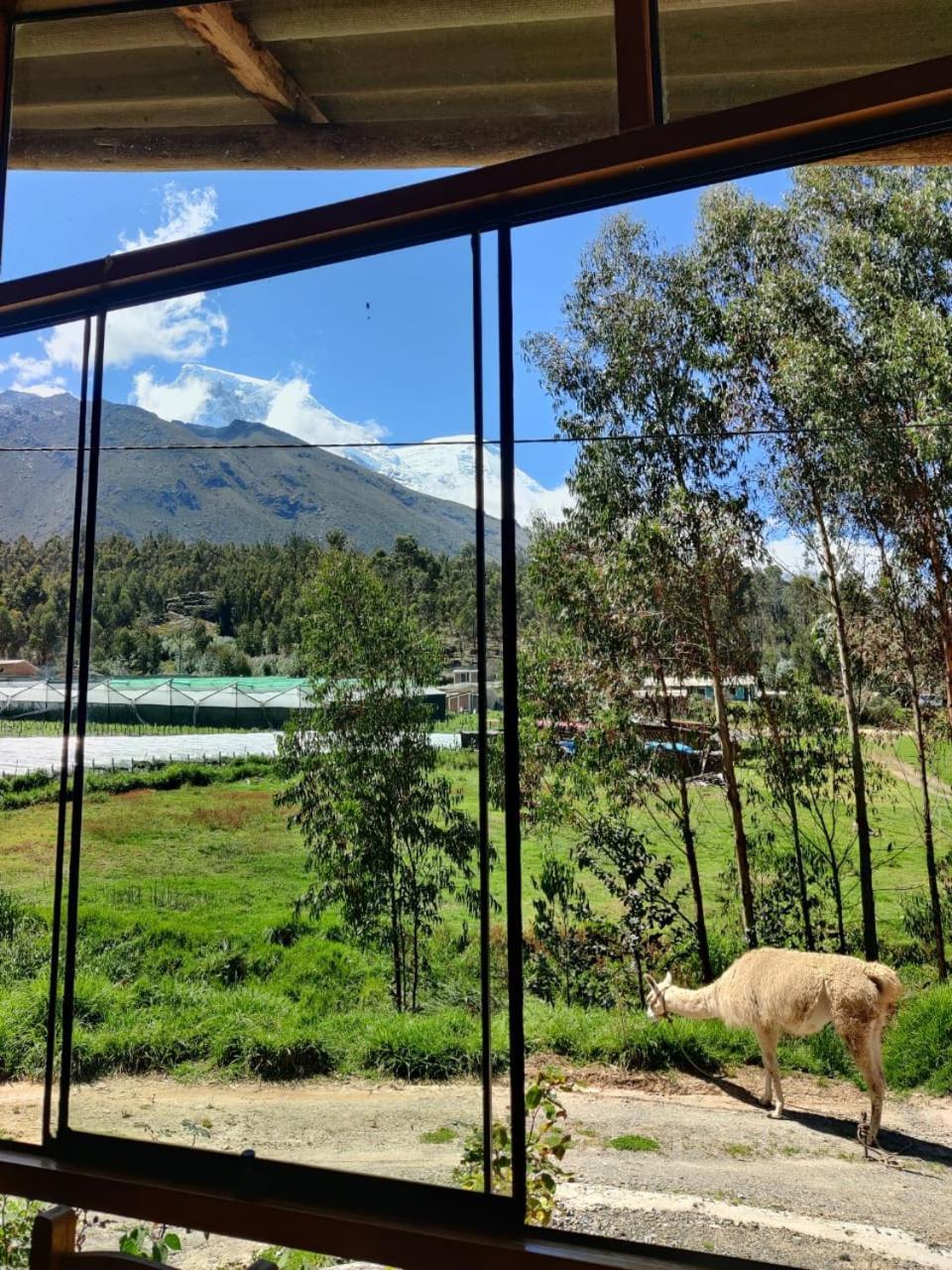 Tullpa Rumy Yungay Exteriér fotografie
